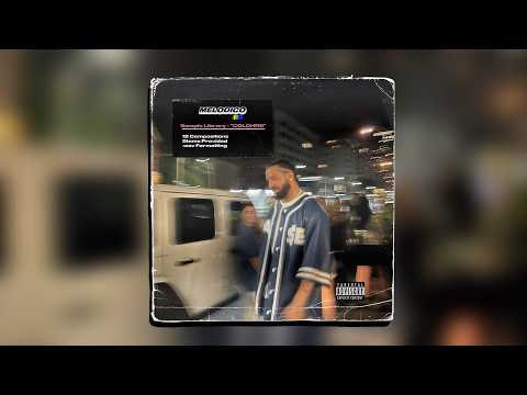 Trap/R&B Loop Kit - "COLDHRS"